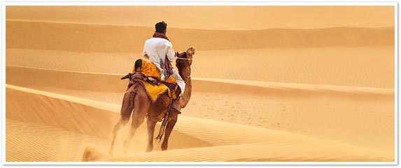 Thar Desert