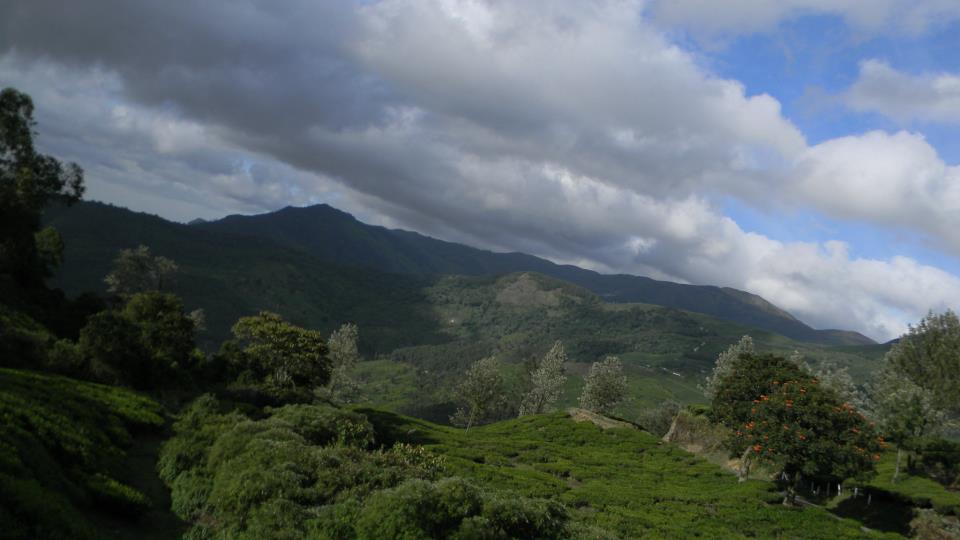 Munnar, Kerala