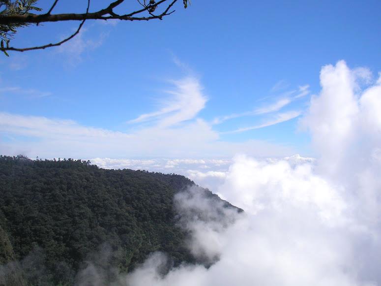 Kodaikanal, Tamil Nadu