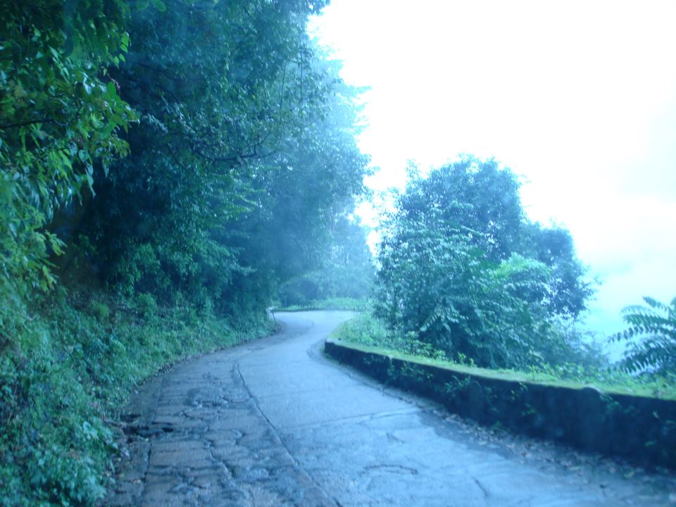 Taking a Trek Through Agumbe