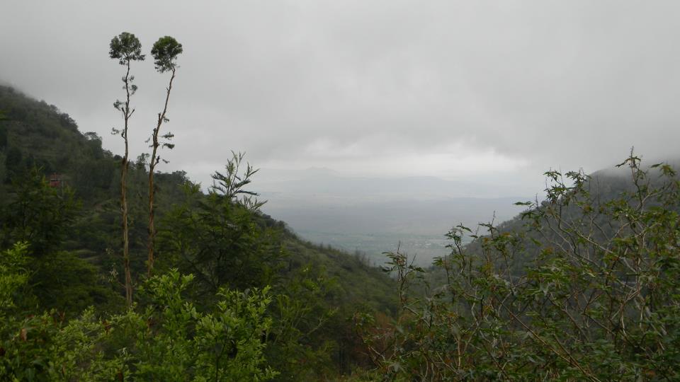 Ooty , Tamil Nadu