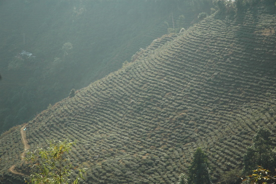 Darjeeling, West Bengal