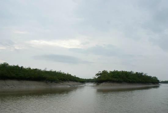 Sundarbans, West Bengal